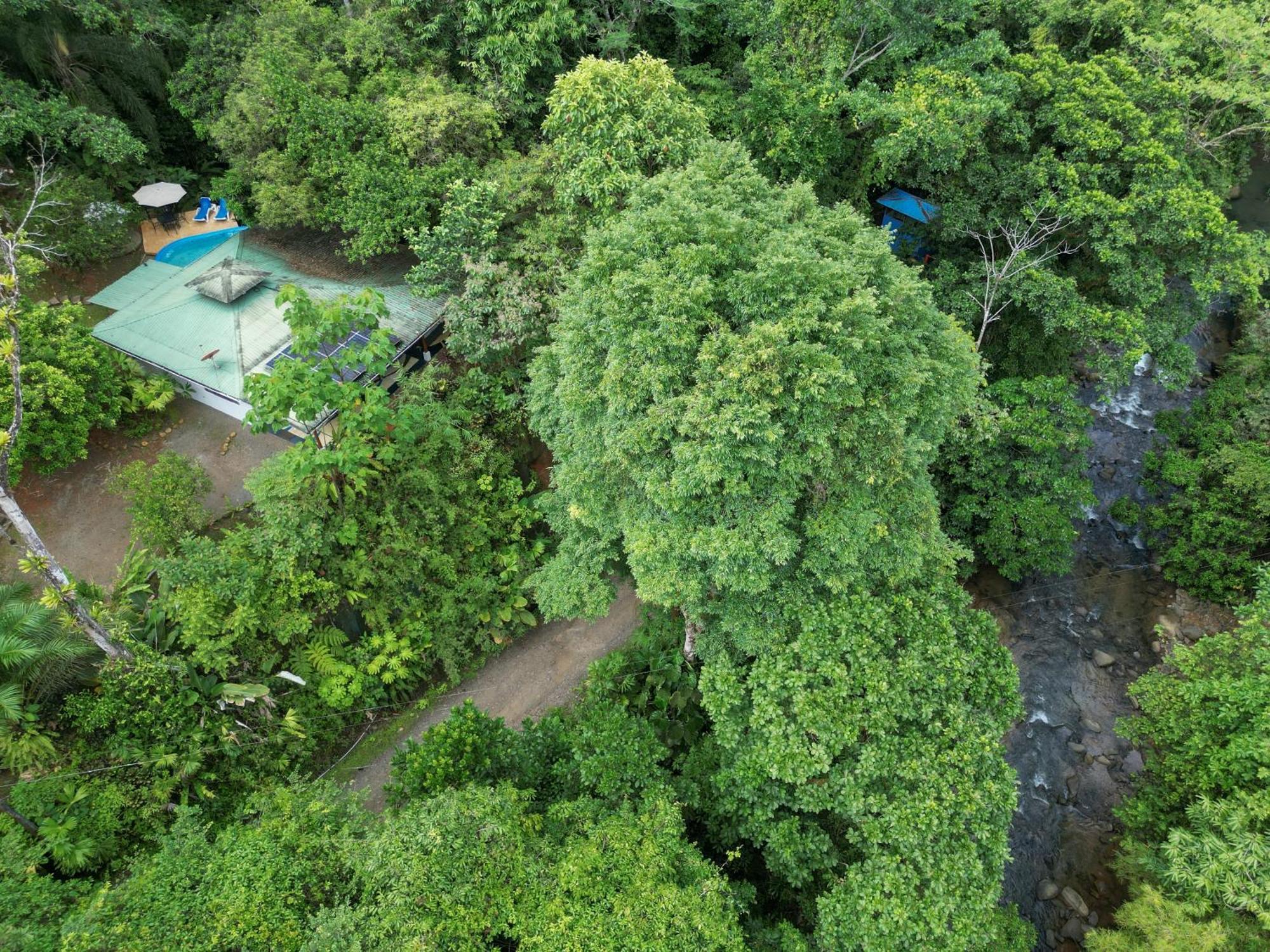 Casa Cedro - Portasol Vacation Rentals Matapalo  Kültér fotó